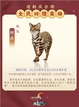 天龙八部私服闪烁